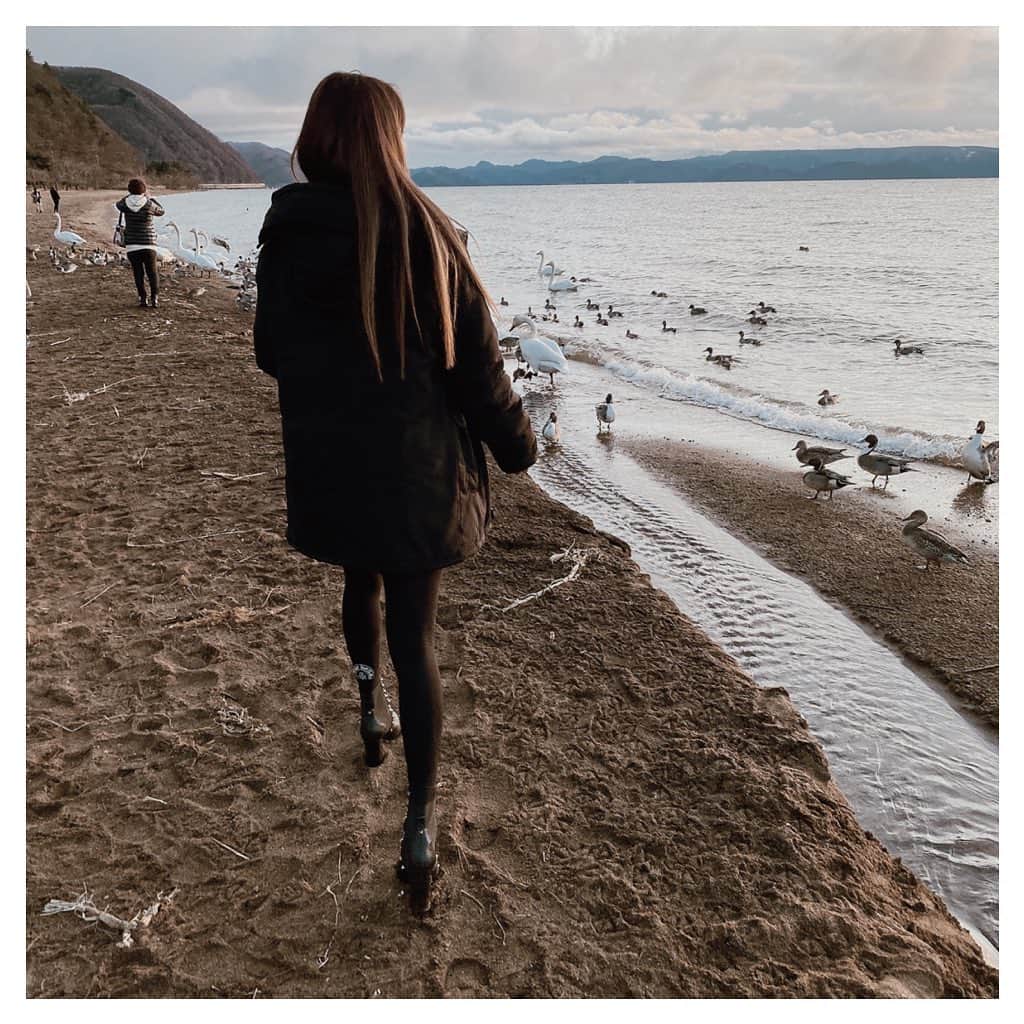 ARIKAのインスタグラム：「猪苗代湖🕊 . 自然いっぱいの福島🍃 空気が美味しくて最高だった🤍 湖行ったらちょうど夕陽が沈む時間で綺麗だったな〜🌅 なにより白鳥と鴨がいっぱいいてびっくり😂✨ ネットで調べたら猪苗代湖は 冬になると白鳥スポットで有名らしい🦢❄️ 餌たくさんあげたっ🤣❣️ 夕陽が綺麗で白鳥と鴨可愛いくて 空気は綺麗で癒されました✨ またぼーっとしに行きたいな☺️ . #おひとり様 #東北旅行 #福島 #福島観光 #旅行 #trip #白鳥 #夕陽 #湖 #田舎 #癒し #冬 #黒コーデ #workout #makeup #hair #me #girl #swag #l4l #love #selfie #bestoftheday #followme #dog #lovedogs #お洒落さんと繋がりたい」
