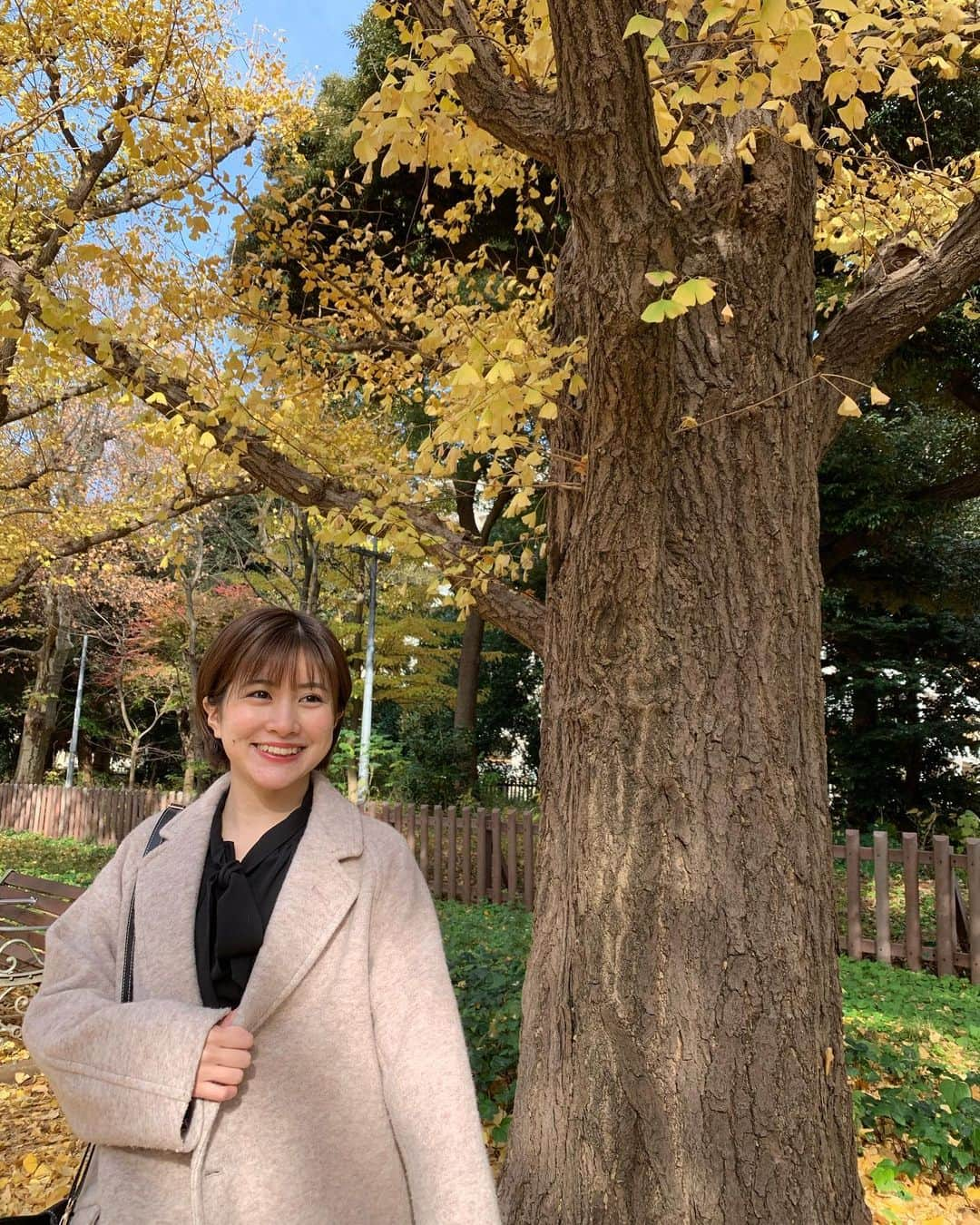 長谷川怜華さんのインスタグラム写真 - (長谷川怜華Instagram)「.. ..  🍁🍃✨  #外苑前 #外苑前いちょう並木  .. ..」12月14日 22時41分 - hasegawa_reika