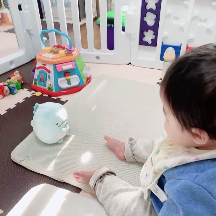 桜 稲垣早希のインスタグラム：「マネされるのが嫌らしいです｡ 母はアニメのものまねやってます。🤫 #生後10ヶ月男の子 #いつか一緒にエヴァ見たい #アスカじゃないのにアスカ名乗って人様にあんたバカっていう仕事をうまく説明できるかな」