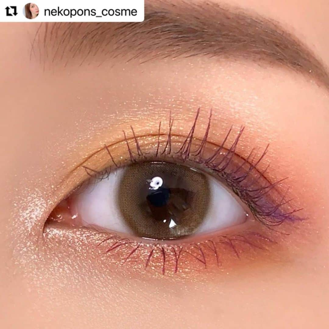 モテビューティー公式さんのインスタグラム写真 - (モテビューティー公式Instagram)「#Repost @nekopons_cosme with @make_repost ・・・ #いつかのメイク . . ✔️#suqqu ▫️#デザイニングカラーアイズ  15 #橙結 ✔️#パラドゥ ▫️#シングルアイシャドウ PK01 . . 大大大好きな橙結を使ってメイク💄 これは季節関係なく定期的に使いたくなる🥺✨ 褒めポイントしかない…💋 . . 濃すぎず淡すぎずな発色がドンピシャ好みだし、グラデーションしやすい！！ 橙結の世界観を壊さない程度にラメを追加しました🙏 アイライナーはパープル、マスカラはモーヴピンク♡ . . これが廃盤になるなんて信じられない…😭💓 . . カラコンは @motecon_official さんの #うるうるパール ♡ 激推し！！1ヶ月でお別れだからそれまでたっくさん使う🤩🍒 @colorcon_plus . . #今日のメイク #アイメイク #motd #カラコン #カラコン通販 #カラコン着画 #眼妆 #眼影 #化妆 #메이크업 #아이메이크업 #アイメイク手順 #メイクプロセス #メイクレシピ #スック #デザイニングカラーアイズ15 #daidaimusubi」12月14日 14時33分 - motecon_official