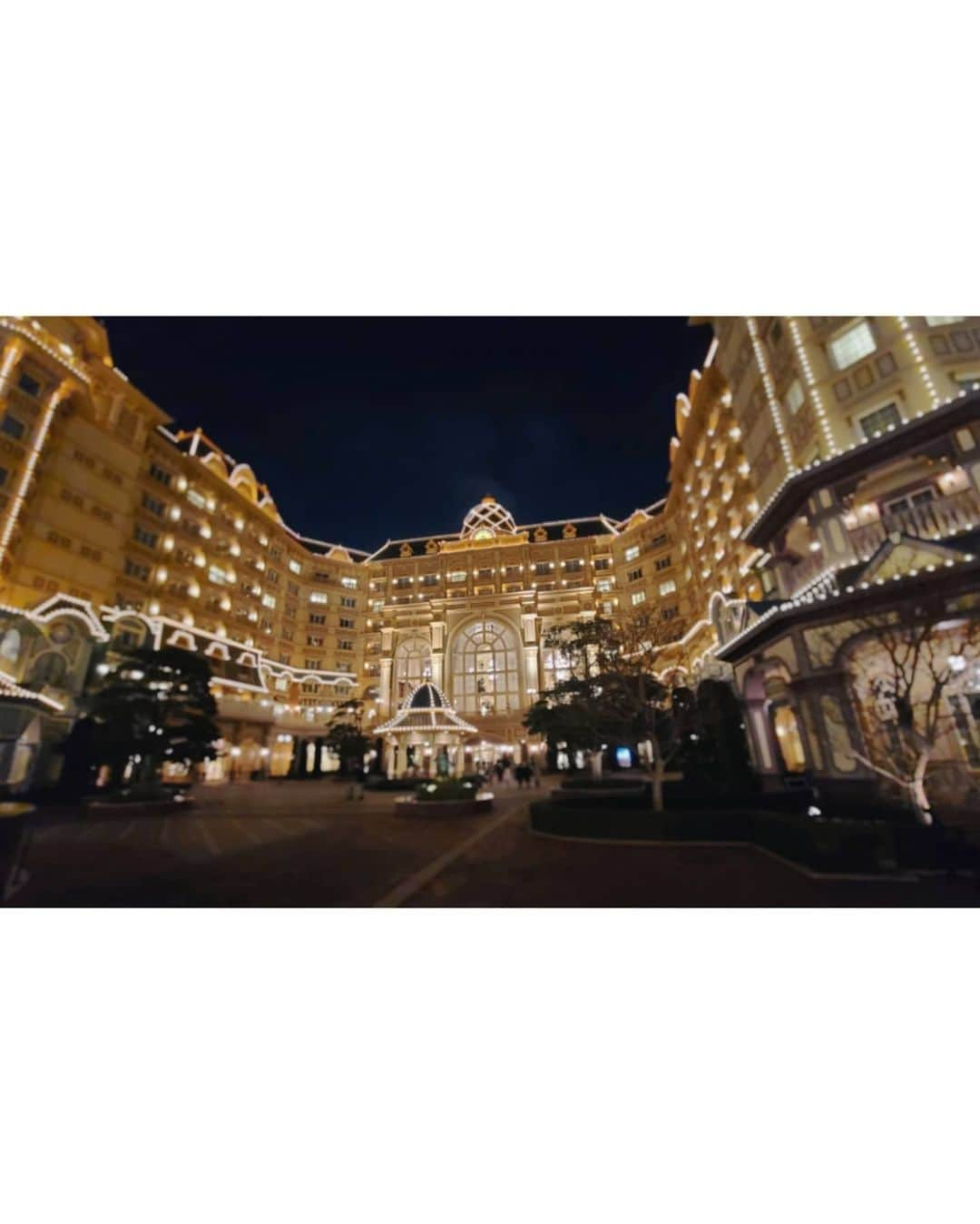 沖田杏梨さんのインスタグラム写真 - (沖田杏梨Instagram)「My first time stay in Tokyo Disney Land Hotel!! OMG it was absolutely beautiful with amazing perfect view. The restaurant CANNA's dinner was so good. I've drunk one bottle of G.H.Mumm. I was actually in a great dream that night.  初めて東京ディズニーランドホテルに宿泊してカンナで食事をしてきました！あの、今まで"ディズニーご飯は正直お値段に対して味は気にしないんだディズニーだから！"って食べてたけれどカンナは本当に美味しかった(笑)パスタもお肉も美味！ホテルの部屋は可愛いしシンデレラ城が見えて絶景。 また絶対に行きたい🖤  #tokyodisneyland #tokyodisneyresort #disneylandhotel #tokyodisneylandhotel  #canna #カンナ　#東京ディズニーランド#ディズニーランドホテル #duffy」12月14日 14時36分 - anri_okita