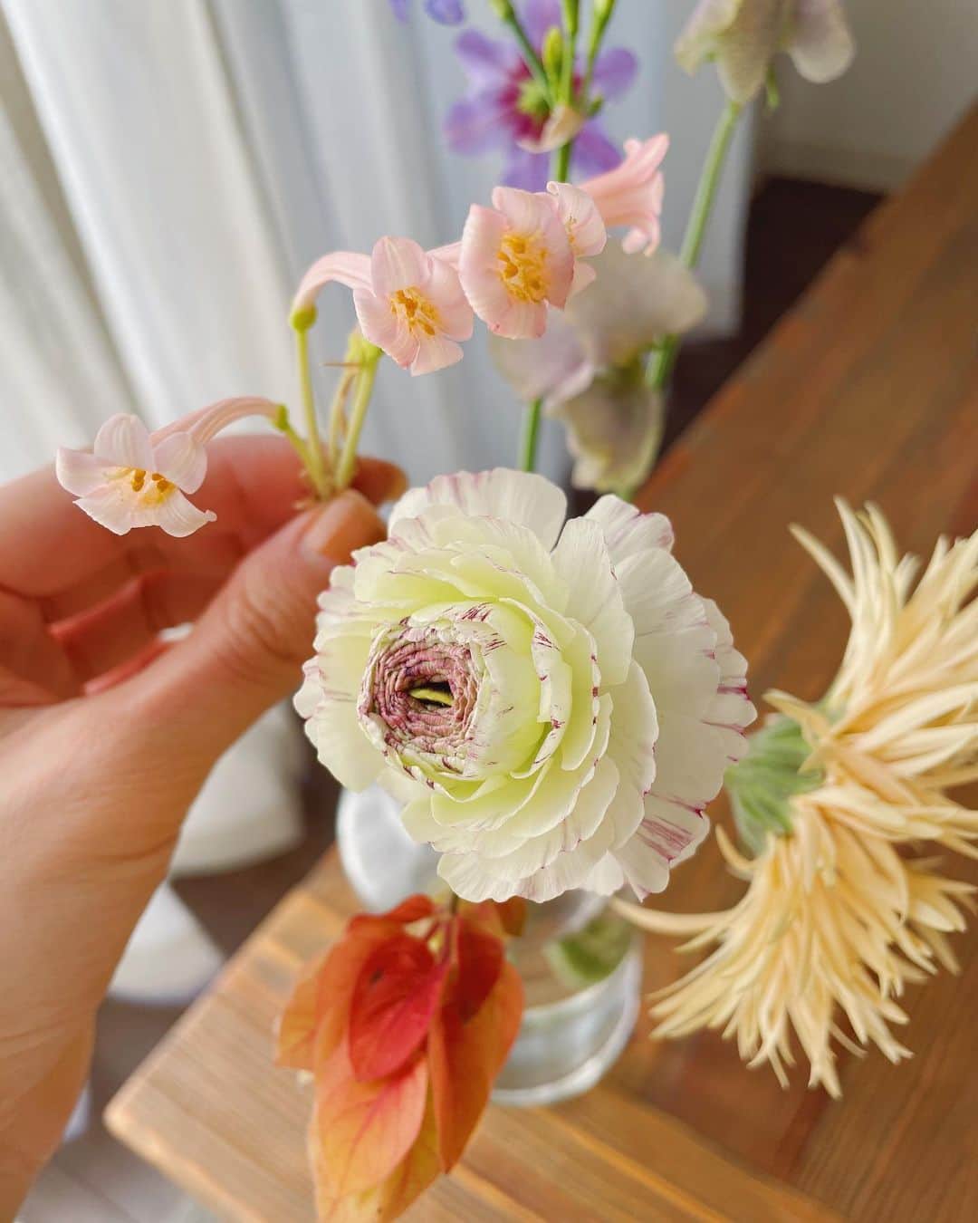 和田美由紀さんのインスタグラム写真 - (和田美由紀Instagram)「カラフルなお花達🌸🌷  #flowernoritake」12月14日 14時43分 - miyuwada