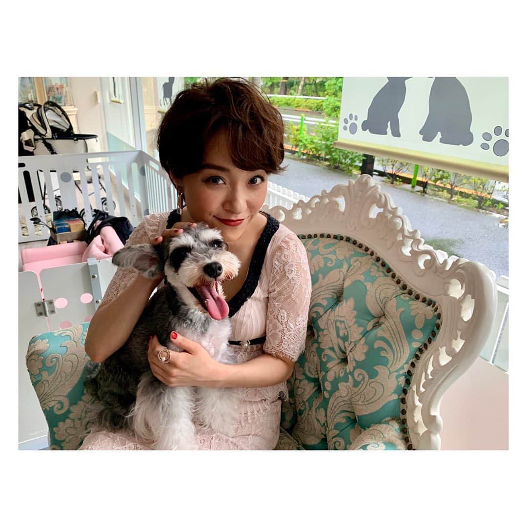 のインスタグラム：「🐶  📣はるちゃんと3Bを取り巻く個性派キャストのご紹介！  杉崎役 #みひろ さん💎  #馬場ふみか さん演じるはるちゃんが働く ペットサロンの常連客🐩 謎のセレブ美魔女で、どうやら恋愛にはかなりアクティブ。  良き恋愛アドバイザーなのです💋💓  #ABCテレビ 2021年1月10日（日） #テレビ朝日 2021年1月9日（土） 放送スタート❤︎  #3Bの恋人 #みひろ」