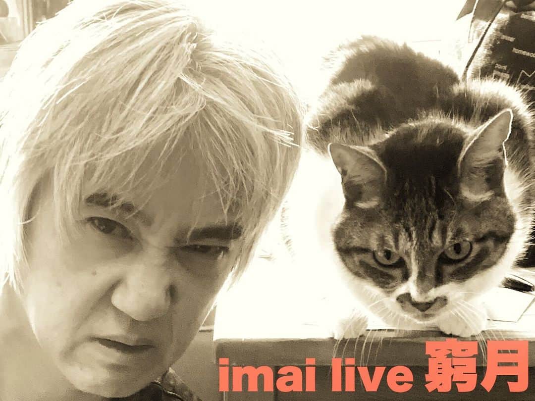 イマイアキノブのインスタグラム：「🥀イマイ 12月のライブ  ✴︎12.19(土) ＠/fr 新宿 LOFT  『URASUJI.』観覧100名限定(配信有)  Open & Start 17:00  End 22:00  adv 5000yen 1DRINK別料金  ✴︎当日券の販売はありません  椅子あり自由席 ツイキャス配信ライブ 2000yen 投げ銭あり  https://twitcasting.tv/shinjukuloft/shopcart/38894  LIVE  MIDNIGHT BANKROBBERS (チバユウスケ・イマイアキノブ)  LEARNERS THE NEATBEATS Who the Bitch 百鬼夜恍  GUEST DJ  小里誠 a.k.a. francis 浜辺シゲキ じゅんたま DJ URASUJI. CREW SATO / HASE / OKANO / GENTA ___________________________  ✴︎12.22(火) @/fr BLAH BLAH BLAH 西早稲田 【観覧 & 配信】  『楕円の話 / oval talk』第二話  出演 イマイアキノブ 宮田岳  ゲスト 石川ミナ子  open 18:30  start  19:30  music charge ¥2500＋飲物代¥600  ◉予約方法 当サイト予約フォームで受付  ✴︎配信 配信チケット  ¥1500 start 19:30 ご購入はこちら https://twitcasting.tv/nwblahblahblah/shopcart/34923  問い BLAH BLAH BLAH  ☎︎ 03-6380-3113 新宿区西早稲田3-20-6 スパイラルビルB1F ___________________________  ✴︎12.26(土) @ KAVACH⚡︎YA 新宿 『君と逢う新宿』vol.24  出演 イマイアキノブ 山本久土 サトウミノル  open 19:00 start  19:30  music charge  ¥2500＋飲物代  予約 問い KAVACH⚡︎YA  新宿区歌舞伎町2-9-18 ライオンズプラザ新宿2F ☎︎03 6233 8677 (20:00-06:00) ___________________________  ✴︎12.31(木) @ 都内 詳細は後日  #imaiakinobu  #イマイアキノブ #livemusic  #livestreaming」