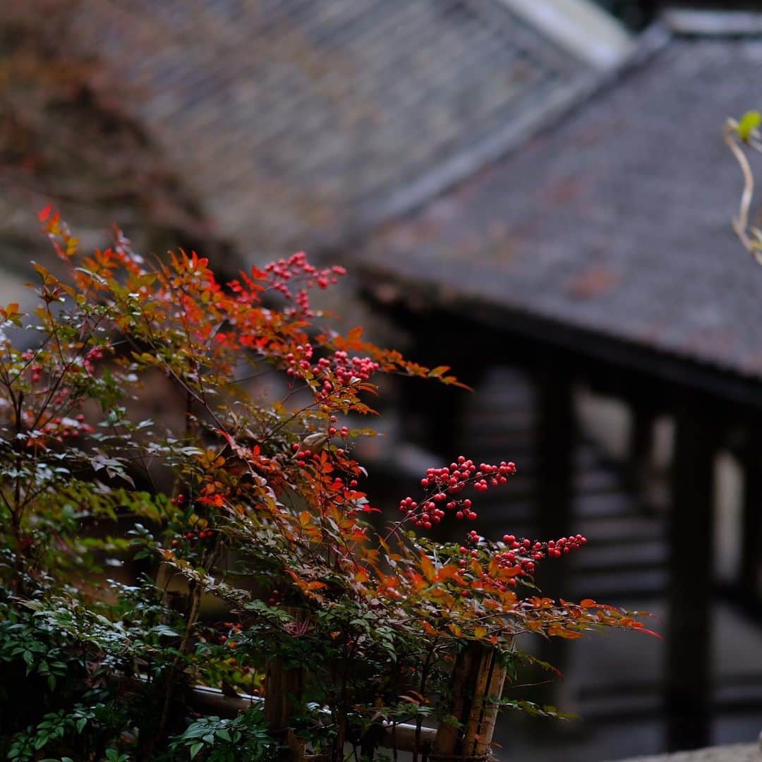 奈良 長谷寺 / nara hasederaのグルメインスタ