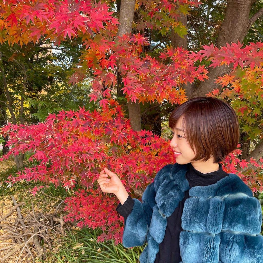 DJ YURiAのインスタグラム：「🍁🍁🍁  綺麗な紅葉を発見☺️﻿ ﻿ 芝公園のそばの駐車場笑﻿ ﻿ ﻿ ﻿ #もう冬かなぁ﻿ #今日寒いよ﻿ #紅葉﻿ #駐車場」
