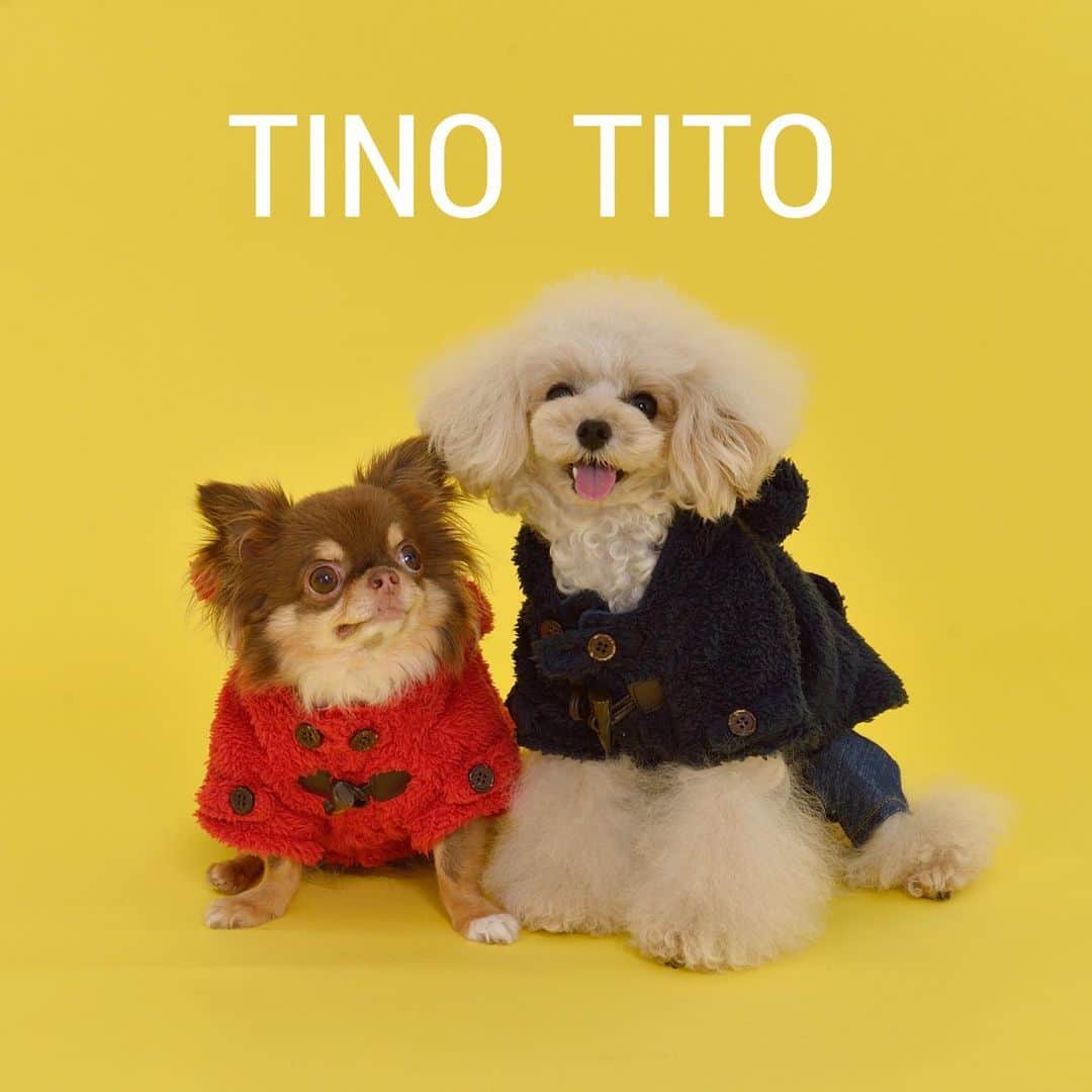 TINOTITO -ティノティート-のインスタグラム：「❄️❄️❄️ 雪が降りそうな寒さ⛄️ さむーい💦 ぽかぽかアウター着ましょ♡ . くま耳ボアダッフルコート  size: xs〜L color: navy / red . wanvoyage(ワンボヤージュさん)にて TINO TITO 2020 AW collection を 販売しています。 . @wanvoyage_official のサイトをご覧ください♪ . モデルワンコ ティーちゃん　ラッテちゃん .  #tinotito #ティノティート #犬の服 #犬服 #犬服 #犬 #犬バカ部 #ペット #ふわもこ部 #pet #dogwear #dog#petclothes #dogclothes #coordinate #outfit #fashion  #instafollow #l4l #dogstagram #instagood #cute #pretty  #follow #petoftheday #f4f #followme  #개스타그램 #멍스타그램 #狗衣服代購」