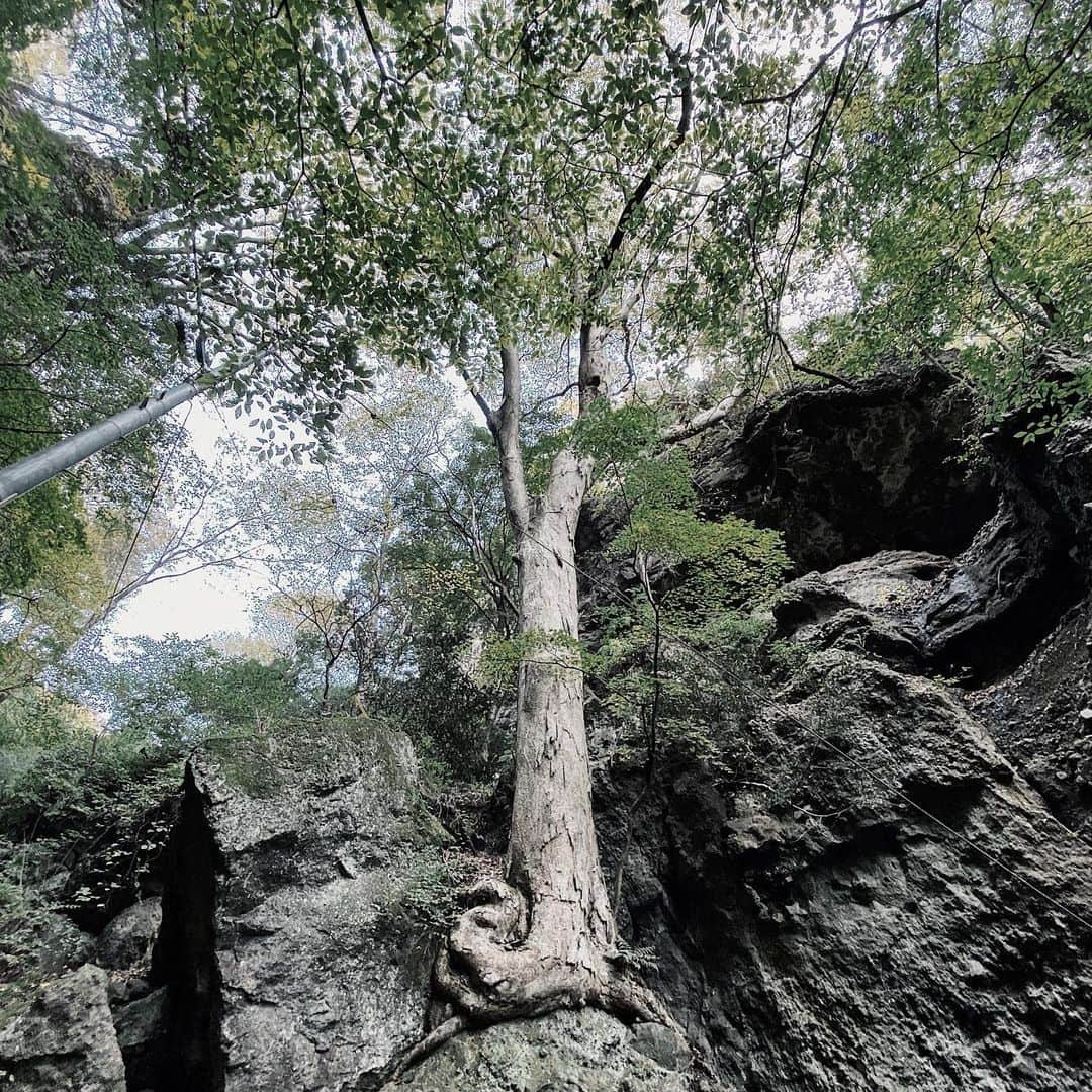 武藤千春さんのインスタグラム写真 - (武藤千春Instagram)「mother nature」12月14日 16時13分 - iamchiharumuto