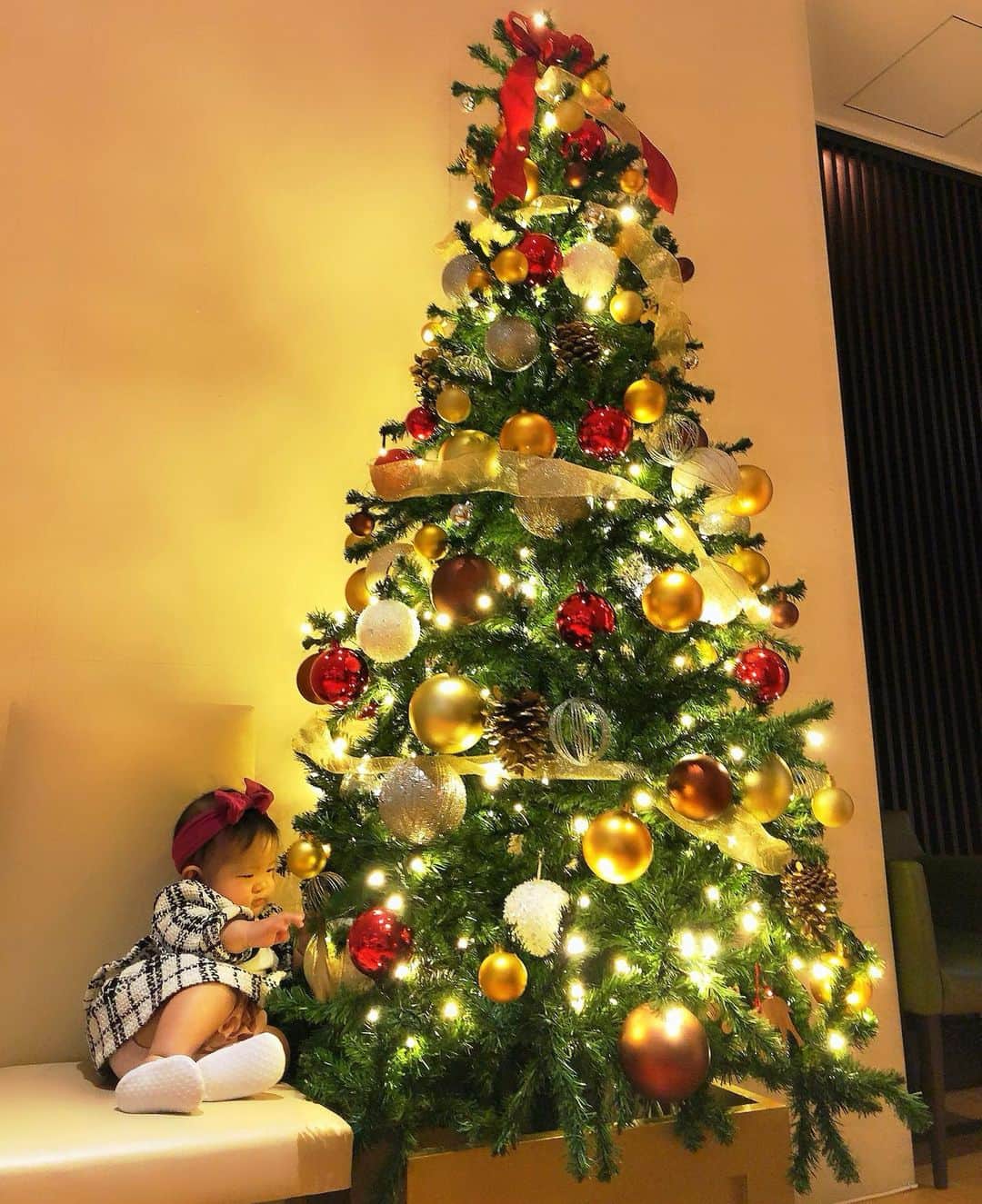miniのインスタグラム：「はじめてのクリスマス🎄 キラキラ好きなアリエル👶🏽💡✨✨ 色んな所でクリスマスツリーを見ては写真撮ってる❤️👶🏽😛🎅🏾💜 #happyholidays #christmas #christmastree #babychristmas #ベビー #生後5ヶ月 #ベビークリスマス」