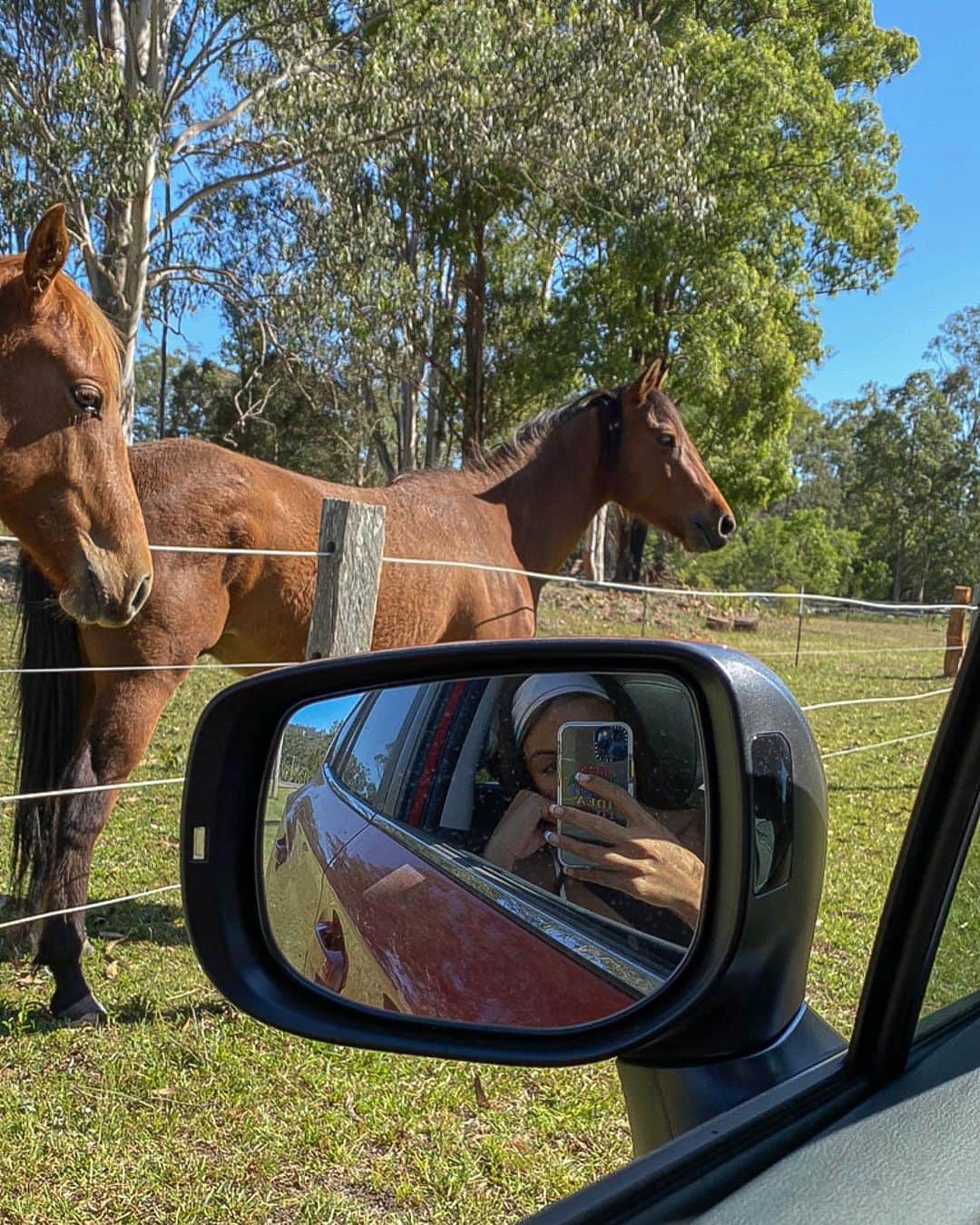 Hannah Pereraさんのインスタグラム写真 - (Hannah PereraInstagram)「Could these horseys be any cuter! We stumbled across these beauties whilst taking a detour up to Byron and couldn’t help our selves but pull over to say hello🐴🐴🐴 We literally spent like an hour giving them some love and cuddles. @subaruaustralia #greataustraliandetour #subaru ☀️☀️☀️」12月14日 16時52分 - hannah_perera
