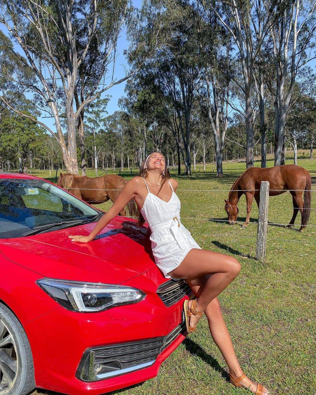 Hannah Pereraさんのインスタグラム写真 - (Hannah PereraInstagram)「Could these horseys be any cuter! We stumbled across these beauties whilst taking a detour up to Byron and couldn’t help our selves but pull over to say hello🐴🐴🐴 We literally spent like an hour giving them some love and cuddles. @subaruaustralia #greataustraliandetour #subaru ☀️☀️☀️」12月14日 16時52分 - hannah_perera