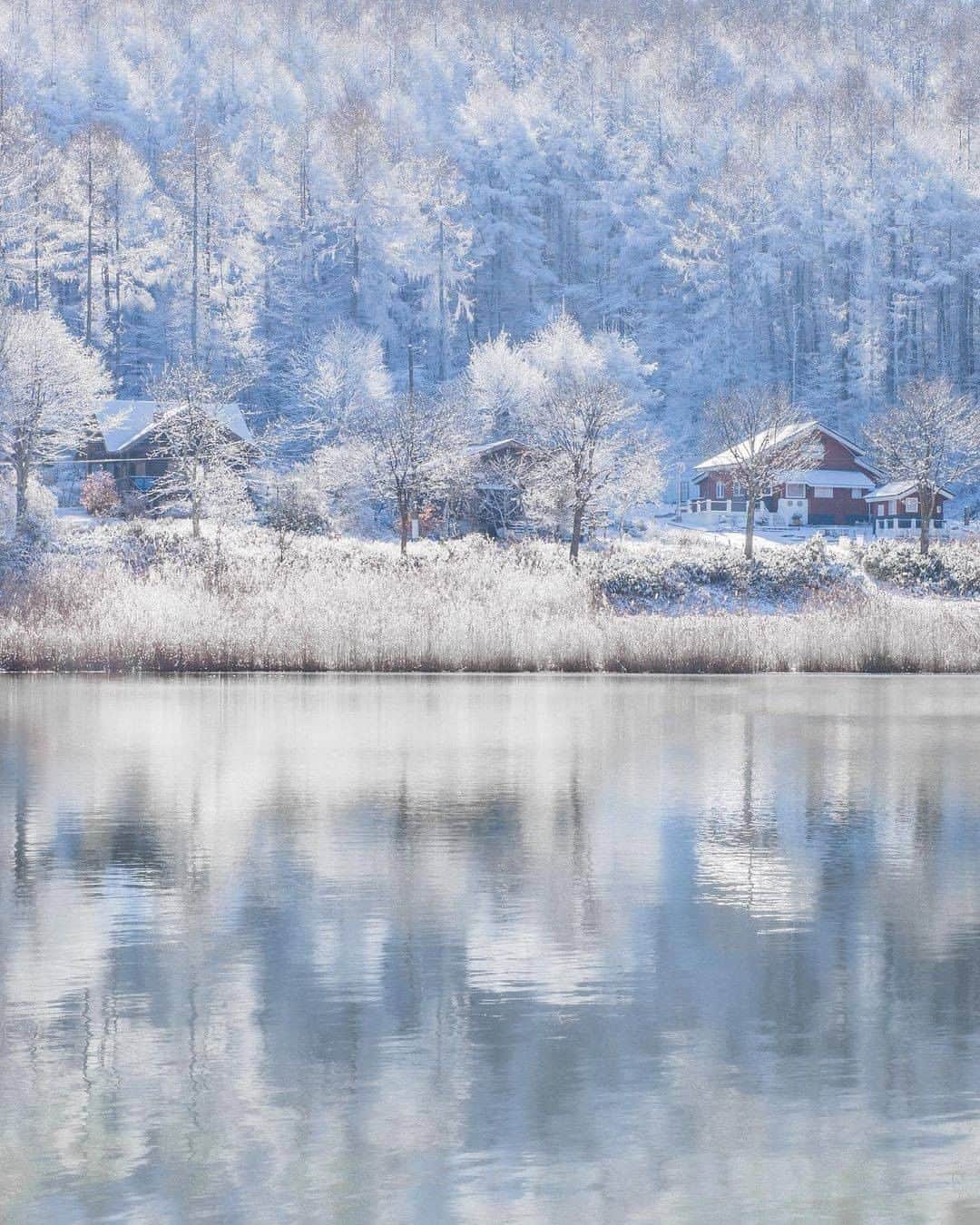 旅行メディア・じゃらん〈公式〉さんのインスタグラム写真 - (旅行メディア・じゃらん〈公式〉Instagram)「#聖高原 聖高原の中牧湖では、冬は幻想的で美しい樹氷が見られます。 長野市と松本市の中間に位置し交通も便利です。 . . ━━━━━━━━━━━━━━━ 📍 長野県「聖高原」 📷 photo by @natsuinsta 📅 2020.12 ━━━━━━━━━━━━━━━ 📎 【 #じゃらんおすすめ_甲信越 】 おでかけの参考に、ピックアップしたお写真をエリア別でまとめました！ ━━━━━━━━━━━━━━━ . . #jalan_travel　をつけていただいた中からpick upしました🔍 素敵なお写真をありがとうございました😍 . . ☑ 新型コロナウイルス感染症拡大防止の観点から、各自治体により自粛要請等が行われている可能性があります。お出かけの際は、お住まいやお出かけされる都道府県の要請をご確認の上、感染拡大の防止に充分ご配慮いただくようお願いいたします。また、日々状況が変化しておりますので、事前に各施設の最新情報をご確認下さい。 ☑ #jalan_travel をつけて、ぜひ今までの旅行先の思い出写真を投稿してください。このアカウントでご紹介させていただきます。(じゃらんニュースでも紹介される可能性があります） . . . . . . #長野 #甲信越 #雪 #冬 #じゃらん #観光 #観光地 #観光スポット #旅行 #旅行好きな人と繋がりたい #旅行好き #写真好きな人と繋がりたい #ファインダー越しの私の世界 #Japan #travel #travellers #trip #jalan #japantravelphoto #japantrip #japantravel #jalan_blue」12月14日 17時00分 - jalan_net