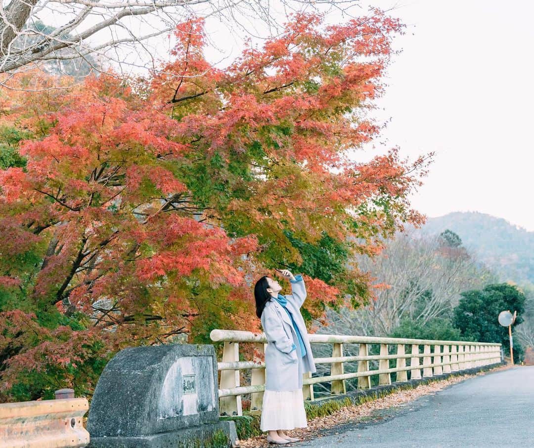 生形由佳さんのインスタグラム写真 - (生形由佳Instagram)「まだこれからのところもあった🍁  最近、本当に寒いですね❄️ 寒がりなので冬は少し苦手です🥶  やっぱり秋が一番好きかな〜  でも、冬の温泉は良き♨️笑  #紅葉」12月14日 17時14分 - yuka.ub