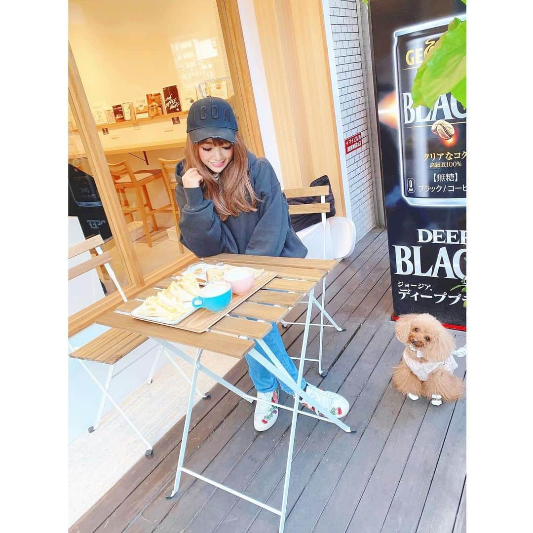 米本紗弥香のインスタグラム：「犬連れOKのカフェがもっと身近に沢山あれば良いな♡  #犬連れok #犬連れカフェ #犬連れ #犬のいる暮らし #犬好きな人と繋がりたい #dog #ペットok #ペットとお出かけ #犬カフェ #トイプードル #ドッグカフェ #トイプードル #toypoodle  #トイプードルレッド #dogstagram #タマゴサンド #たまごサンド #sandwich #サンドウィッチ #玉子サンド #食パン #コーヒー #coffee #カフェ #cafe #トースト #ハンドドリップ #コーヒー巡り」