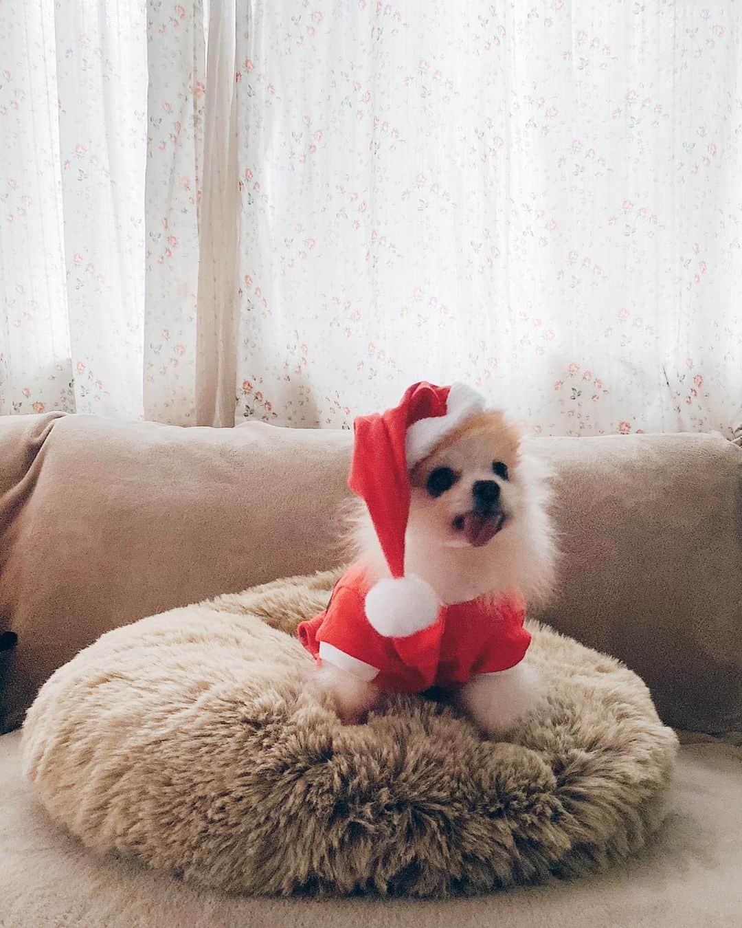 r_oseのインスタグラム：「Oh my!!!!! 🎅🏼🎄〰️」