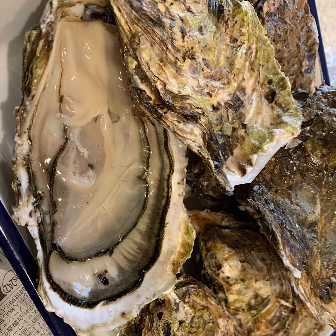 中山秀征さんのインスタグラム写真 - (中山秀征Instagram)「広島出身のマネージャー大川内くんのお父さんが毎年、牡蠣を送ってくださいます。牡蠣をむくのもなかなか上手くなりました。海のミルクは最高です  #牡蠣 #カキ #広島県産 #海のミルク #中山秀征」12月14日 17時46分 - hidechan0731