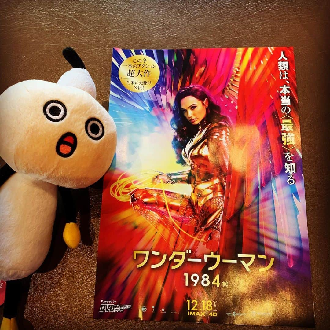 DJ AIKO 62さんのインスタグラム写真 - (DJ AIKO 62Instagram)「見たい！  #ワンダーウーマン1984  #たわわちゃん #今日もスタジオにはたわわちゃん  #djaiko62  #グッズプレゼント #ラジオ」12月14日 17時39分 - djaiko62