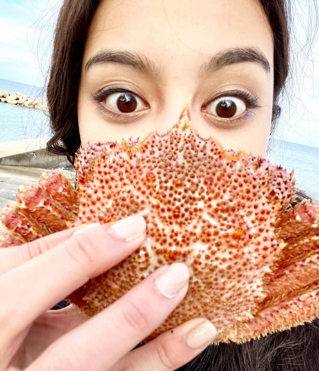 遊海 Yuumiのインスタグラム：「Crab mask 😷 カニマスク🦀　贅沢なマスクだ！最近芸人になってきてるかも〜　人笑わせるのって楽しいね〜！！ I think I’m into comedy recently 😆 it’s fun to make people laugh out loud 👍 #crab #カニ　#toyama #asahitoyama #toyamaprefecture #toyamapr #visittoyama #gototoyama #toyamajapan #japan #visitjapanjp #visitjapan #ocean #skindiving #winter #富山県　#富山　#朝日富山　#素潜り　#素潜り女子 #海　#日本海　#oceangirlonmission #富山観光」
