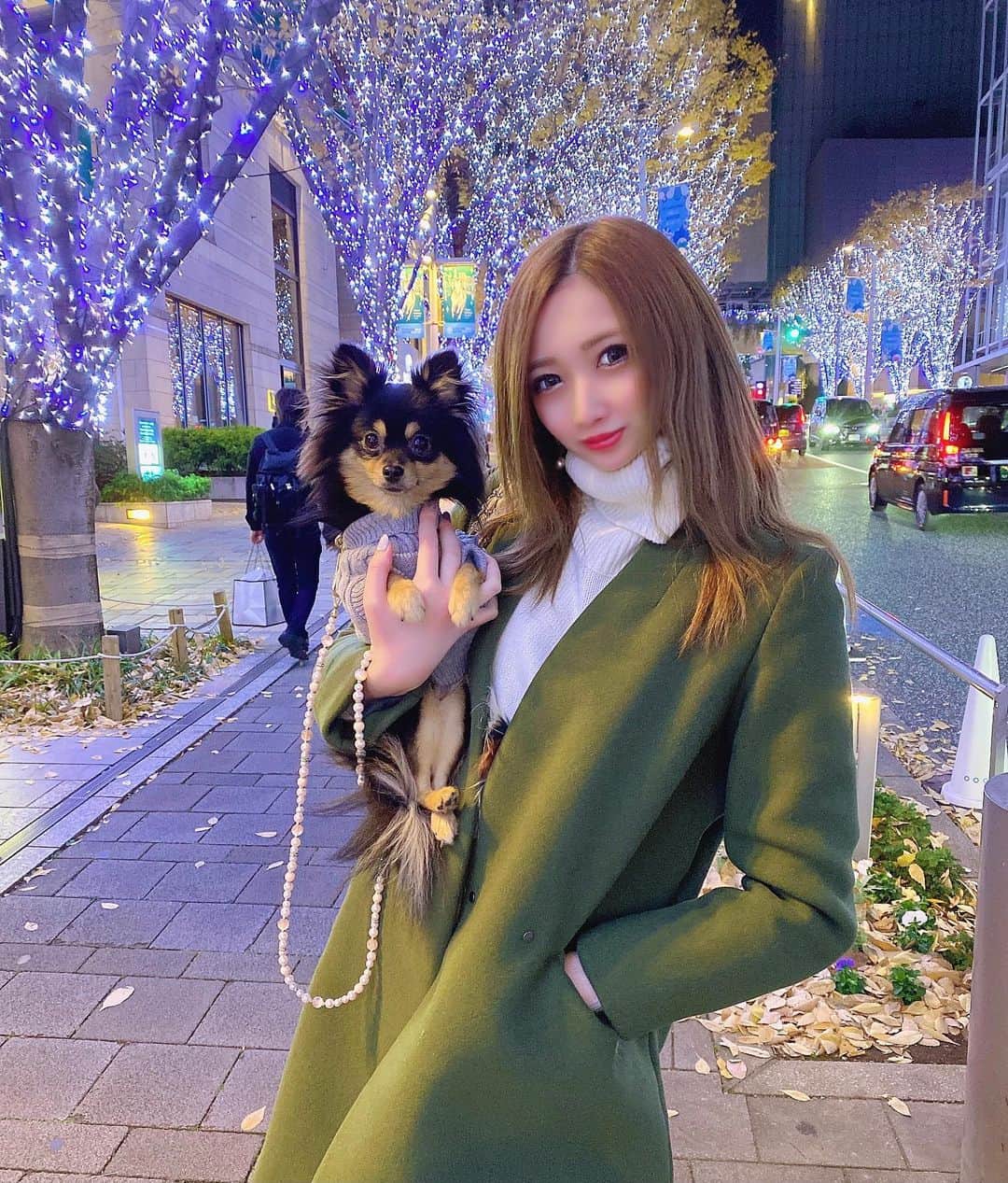 JURIのインスタグラム：「・ たぬちゃんとイルミネーション散歩🎄✨ ちゃんとカメラ目線🐶かわよ  もうすぐクリスマスですな。 そしてあっとゆうまに今年も終わっちゃう。  #イルミネーション#並木道 #六本木#六本木ヒルズ#散歩  #髪ボサ なのは気にしないで。」