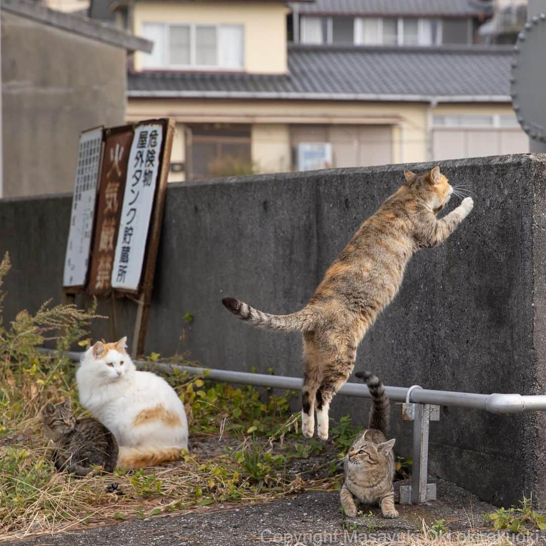 Masayukiさんのインスタグラム写真 - (MasayukiInstagram)「注目のジャンパー。」12月14日 18時21分 - okirakuoki