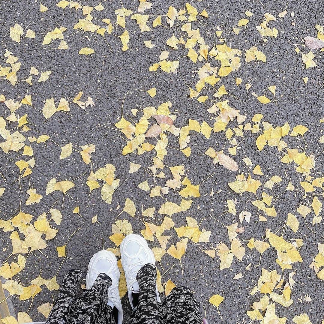 舞城モアサさんのインスタグラム写真 - (舞城モアサInstagram)「. . 秋が終わる匂いがした . #今年もお疲れさん #秋 #いちょう #綺麗だね」12月14日 18時22分 - maishiro_moasa