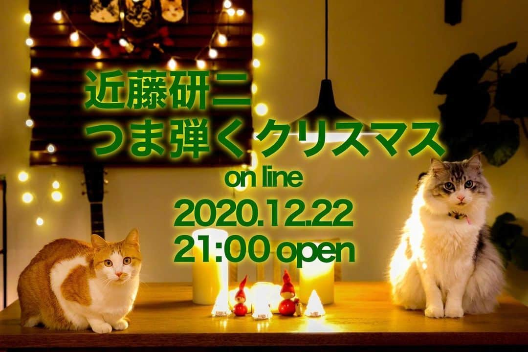 近藤研二さんのインスタグラム写真 - (近藤研二Instagram)「今年はじめてソロライブをやります。つま弾くクリスマス、略して、つまびクリ。自宅からツイキャスにて生配信。22日の夜、よかったらお付き合いを！パーティー気分で！  ****************************  “近藤研二 つま弾くクリスマス” 2020年12月22日(火) 21時 配信スタート（約1時間を予定） 出演 : 近藤研二  古今のクリスマスキャロルのホーリーな調べをギターとお喋りで紡ぎます。気まぐれ猫を添えたおだやか風味の自宅配信。もし猫が眠っていたら決して起こさぬよう見守ってください。  配信形体 : ツイキャス プレミア配信 配信チケット : ¥1,000 （本日12月14日より発売） チケット購入URL : https://twitcasting.tv/mplusmrecords/shopcart/43718 録画アーカイブは12月26日0時までご覧いただけます。  ※購入に関しての詳細はこちら https://twitcasting.tv/helpcenter.php  ツイキャスを見るのは初めてという方（僕も自分で発信するのは初、、）、ウェブブラウザか専用アプリでご覧いただけます。今回は有料配信のためツイキャスのアカウントを作るか、Instagram, Twitter, Facebook等SNSのアカウントでのログインが必要です。先ずはツイキャスのサイト内で「mplusm」と検索してみて下さい。僕のアカウント内に配信ライブのページがありますのでそこから是非。分からなかったらコメントいただければ。  今年最後のニャンニャンデーにうちのモイウニとお待ちしています〜！  #近藤研二 #ツイキャスプレミア配信 #つま弾くクリスマス」12月14日 18時30分 - kenjikond0