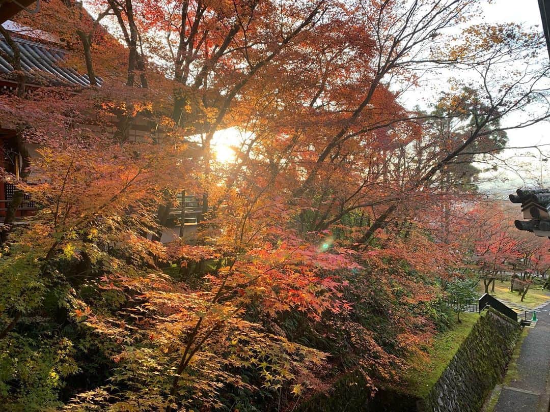 東麻美さんのインスタグラム写真 - (東麻美Instagram)「先日の京都🍁  夕暮れ時はまた風情が🍁😊  『麒麟がくる』もいよいよ光秀が熱い。 道三も信長もよかったけど、やっぱり光秀🕊♡  #京都 #光秀に胸熱 #麒麟がくる #週末の楽しみ」12月14日 18時48分 - asamihigashi