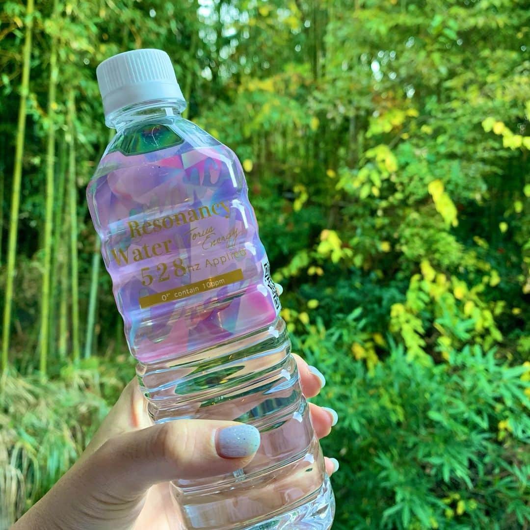 青山あみのインスタグラム：「最近ハマっているお水✨ #528ウォーター  このお水ね、細胞を活性化してくれるらしく！  人って、年齢と共に、細胞の設計図であるDNAが老化してしまい と同時に美容の面でも、いろんな問題が起きてしまうらしく🥺  例えば、 ・肌の張りや弾力を保つヒアルロン酸、コラーゲン、エラスチン等の生成力低下、 生成物質の質の低下で起きる、シワの出現  ・酵素生成力劣化による メラニン色素の分解力低下で起きる シミ、くすみの増加  ・酵素生成力劣化による代謝循環排出作用の低下で起きる 肌表面のかさつき、吹出物の出現、 脂肪蓄積←😭、体重増加傾向  年齢を重ねていくにつれて現れてくる美容的な問題には、 DNAの劣化が大きく関わってるのです！  バランスの良いミネラルを含み528hzの波長を放つこのお水は、 細胞、一つ一つに吸収されて、その波長の持つ特性でDNAに優しく働きをかけて、 美容的なトラブルに対して遺伝子レベルで回復を促しいく可能性を秘めているらしい✨  いつもお世話になっている、@sakairyuseitai.sakai が おすすめしてくれました！ (上の文も丁寧に送ってくださいました🥺)  どうせ口にするものなら、より良いものを自分の身体とか、肌で実感していきたいなぁと思い、飲んでます☺️  最近、本当にマスクのせいなのか？ 吹き出物がすごくって😭 "口にするもので身体はできている"の言葉通り、続けて飲むようにしてます☺️ みなさんも、お水にこだわってたりしますかー？  #ステマじゃないよ #美容オタク #アンチエイジング #若返り美容 #Amazonで買えますよ」