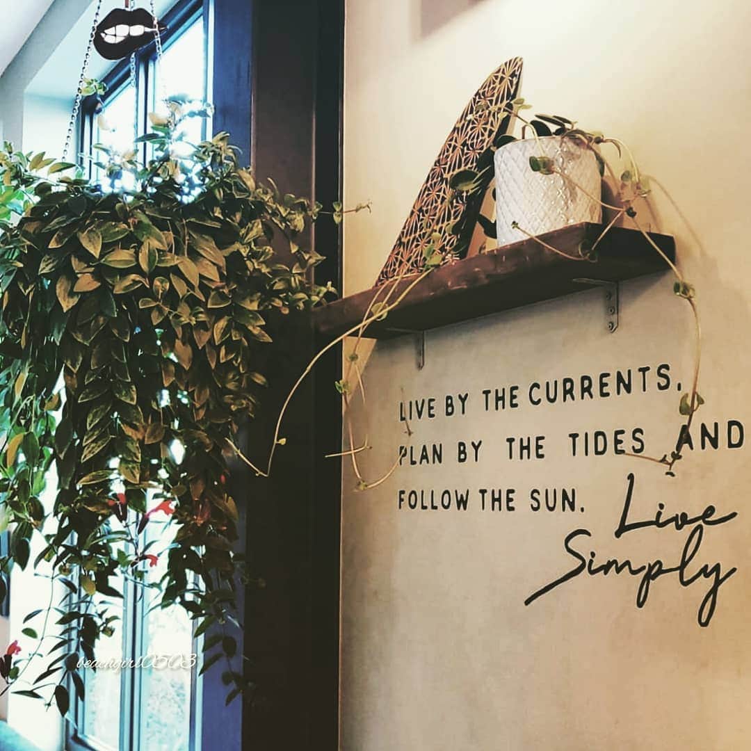 𝑵𝒐𝒓𝒊のインスタグラム：「. . . . なんだか最近ミョーにHAPPY🤭🎶 . . . . 📷いつかのカフェ☕💕 #cafe #tokyocafe #tokyo #daikanyama  #instacafe #cafestagram #cafetime  #hawaiian #surf #favorite #happyday #cafelover #cafe巡り #休日 #カフェ #カフェ巡り #東京 #代官山 #東京カフェ #カフェスタグラム #カフェ好き #ハワイ #サーフ #おしゃれカフェ #デート #女子会 #ハッピー #インスタ映え」