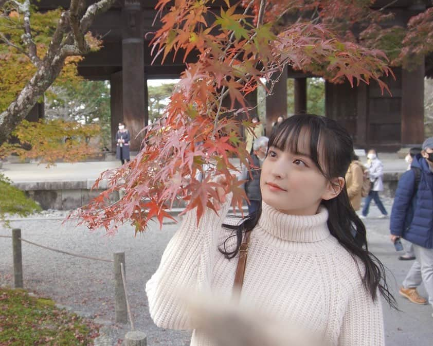 清井咲希さんのインスタグラム写真 - (清井咲希Instagram)「. 紅葉🍁 #京都　#南禅寺 #たこやきレインボー　#たこ虹　 #清井咲希　#さきてぃ #kiyoinstagram」12月14日 19時53分 - kiyoisaki_official