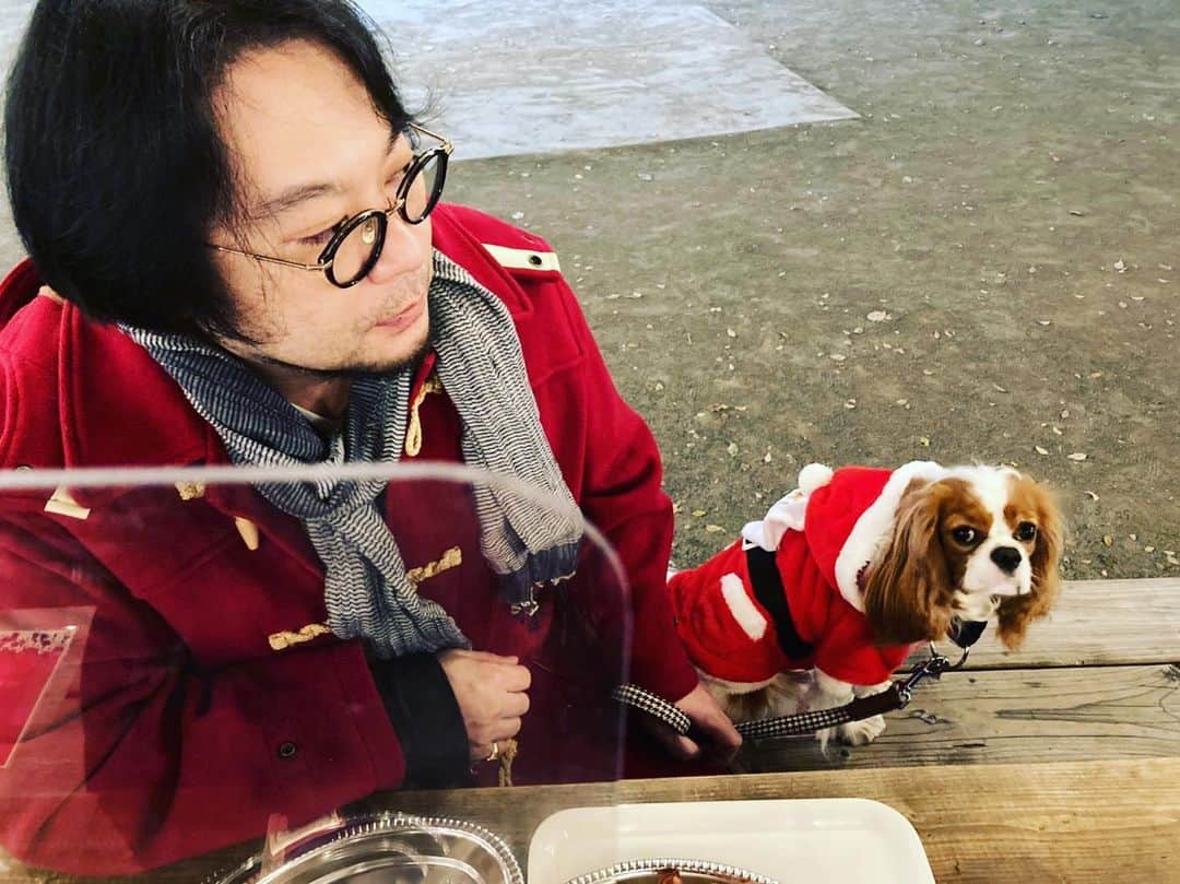 のインスタグラム：「May your Christmas be white #cavalierkingcharlesspaniel」
