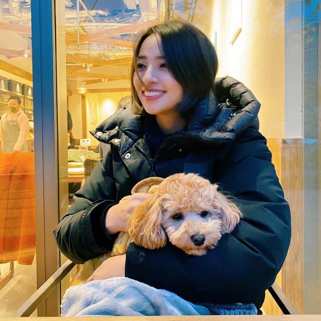 水崎綾女さんのインスタグラム写真 - (水崎綾女Instagram)「love dog🐶🐶🐶 おめめがまんまる。 #dog #いぬ #いぬすたぐらむ #犬 #cute #cutedog」12月14日 20時06分 - misakiayame