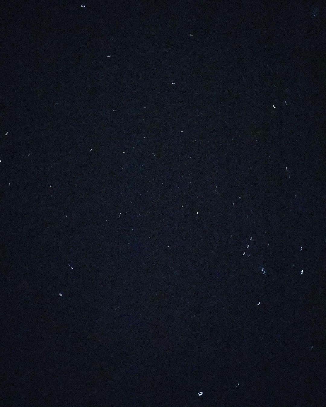 井阪郁巳さんのインスタグラム写真 - (井阪郁巳Instagram)「皆様昨日、双子座流星群みれました？？💫お仕事で空が広く綺麗に見える所にいたので綺麗な星達を見る事ができました。✌️iPhoneのカメラで撮ったものですが少しでも伝わればいいなとおすそ分け。⭐️  #双子座流星群 #井阪郁巳 #ご縁  #インスタオシャレ化計画  #swag #写真 #星 #自然 #流星」12月14日 20時44分 - ikumi_isaka_official