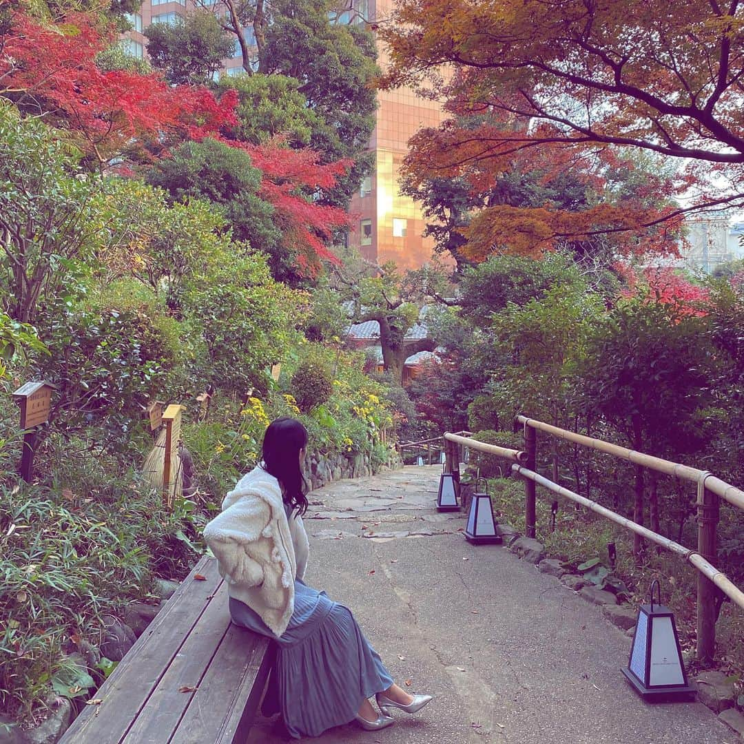 桜雪さんのインスタグラム写真 - (桜雪Instagram)「きれいだった！  #紅葉 #紅葉狩り #庭園散歩」12月14日 20時50分 - yuki_12hsm