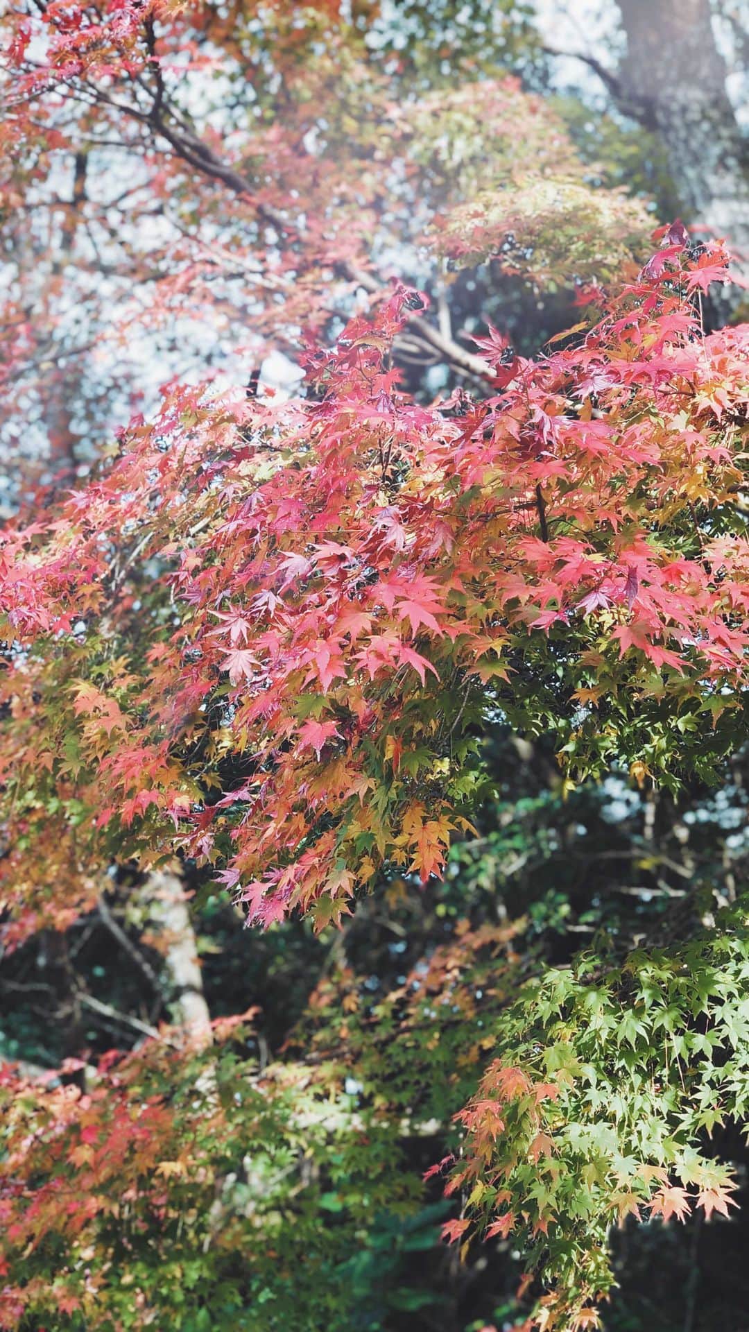 久林紘子のインスタグラム