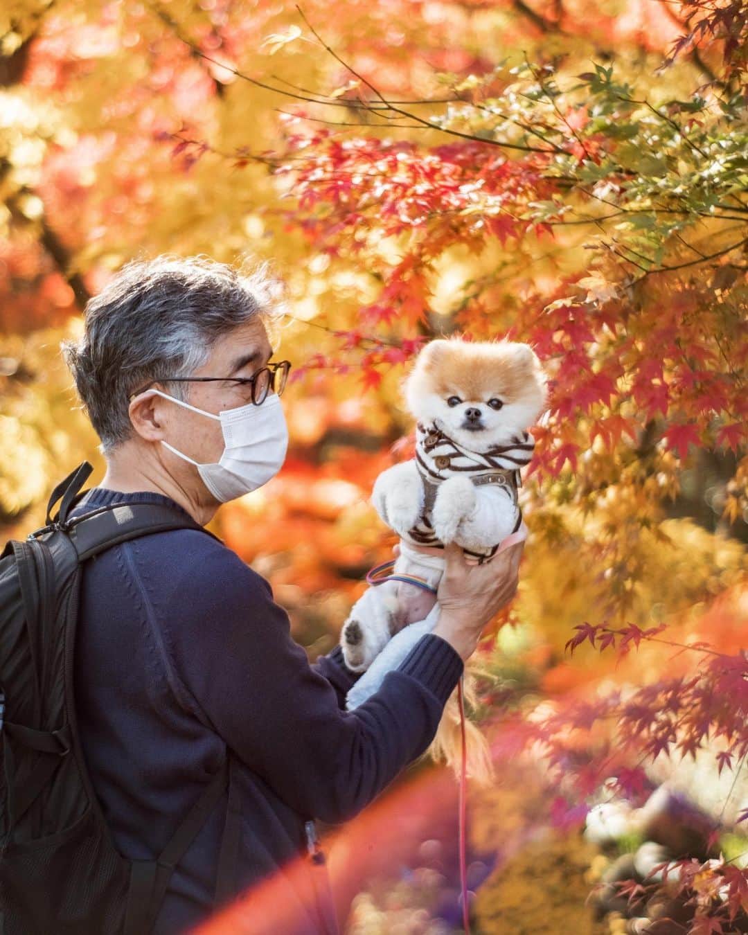 ポテチンのインスタグラム：「picnic with my daddy  せっかく綺麗な紅葉🍁なのに残念なファッションの父さんですぢょ。」