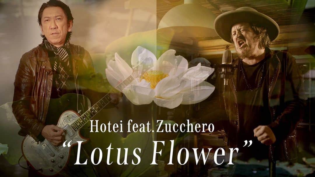 布袋寅泰さんのインスタグラム写真 - (布袋寅泰Instagram)「HOTEI has unveiled the incredible music video for “Lotus Flower” featuring Italy’s legendary artist Zucchero.  “Lotus Flower” is from HOTEI’s recent album Soul to Soul which consists of collaborative tracks that HOTEI has created with 14 stellar guest musicians from 7 different countries.  Produced entirely through remote recording sessions with the passion to connect the world through music, Soul to Soul, his first collaboration album in 14 years, leads HOTEI to the 40th anniversary of his professional career next year.  Zucchero is a world-renowned legendary artist from Italy, whose album sales exceed 60 million units to date.  HOTEI and Zucchero first met each other in May 2016 in Japan at a music event commemorating the 150th anniversary of the diplomatic relationships between Japan and Italy, and they have continued to deepen their musical bond ever since on different occasions including the joint performance HOTEI’s Japan tour, Zucchero’s Italy tour and Royal Albert Hall concert in London, and Sanremo Music Festival.  The music video for the grand rock ballad “Lotus Flower” was produced remotely also, where HOTEI filmed his parts in London and Zucchero in Italy, which were then merged by the Japanese director Hiroyuki Nakano, responsible for many of HOTEI’s popular music videos in the past.  Zucchero‘s soulful vocals strongly convey the overall theme, “We will be reborn together like a lotus flower in the world full of light,” while HOTEI hammers out an overwhelming guitar solo.  “ I’ve intentionally pursued the style of authentic rock ballad.  I’m aware that some may say it’s old school, but I don’t mind.  I truly love how Zucchero belts out from his soul and his passion has inspired me to play one of the best guitar solo ever.  It was a true collaboration that brought us a miracle. " ~ HOTEI ~  Watch "Lotus Flower feat. Zucchero" here↓ https://youtu.be/NeK72vG21d4.  @zuccherosugar @hotei_official #zucchero #hotei #lotusflower #soultosoul」12月14日 21時13分 - hotei_official