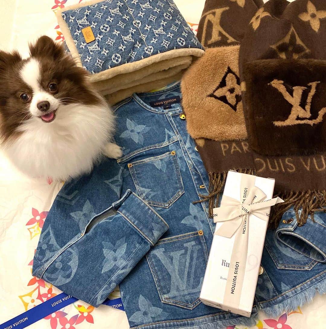 mycoのインスタグラム：「These are the items that I recently purchased♡﻿ 最近の冬支度のお買い物☃️💕﻿ 担当さんから🍾プレゼント頂いた🎁﻿ 可愛いアイテム多くて冬も楽しむぞ！﻿ ﻿ ﻿ 3枚目📸なぜかサランラップが﻿ 陳列してた🤣コラボしたのかと思った﻿ VUITTONのラップとか可愛いな😍  #pom #dogstagram #ルイヴィトン #louisvuitton #lvfw20 #lvmenfw20 #lv2020 #lvmenprefw20 #lvmenprefall20 #lvmonogram #lv2 #lvxnigo #nigoxlv #nigo #lvdamier #lvmade ﻿  @louisvuitton @louisvuitton_international @louisvuitton_community @lv_community @louisvuitton.world @louisvuitton.style @louisvuitton.addicted」