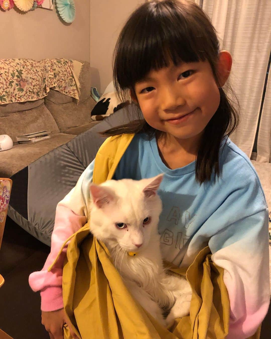 のインスタグラム：「姫はアンコが大好き\(//∇//)\  抱っこも最初は下手くそで失敗ばかりだったけど、ひっかかれようがめげずにグイグイ抱っこしに行くので、とっても上手くなりました（笑）  学校行く時も、帰ってきた時も、すぐアンコと遊んでるので、出かける時などバタバタ(o^^o)  でもアンコも姫が沢山遊んでくれるので、気がつくと割とそばにいたりします(≧∀≦)  老後に飼おうかと思ってたけど、やっぱり今買って良かったみたい！\(//∇//)\  #ネコ#猫のいる暮らし#ねこすたぐらむ#アンコ#甘糟アンコ#メイクーン#オッドアイ#ダイクロイックアイ#白猫#しろねこ#息子殿姫#姫」