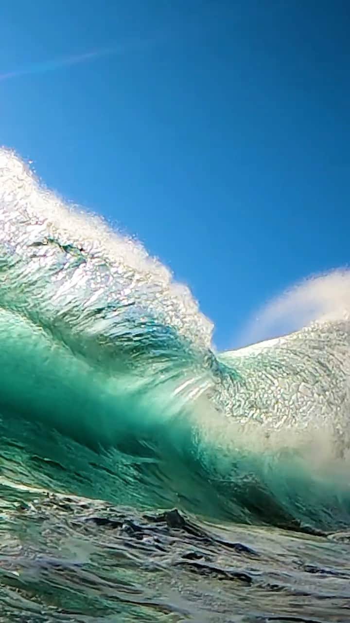 Robbie Crawfordのインスタグラム：「Vibe @smkflwr #GoProHero9」