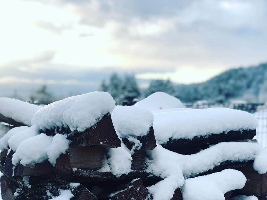 篠原信一さんのインスタグラム写真 - (篠原信一Instagram)「おはよう😃気持ちいい朝。 朝散歩🚶‍♀️🐕🐶💨 #雪景色 #気持ちいい朝」12月15日 7時43分 - s.shinohara_life