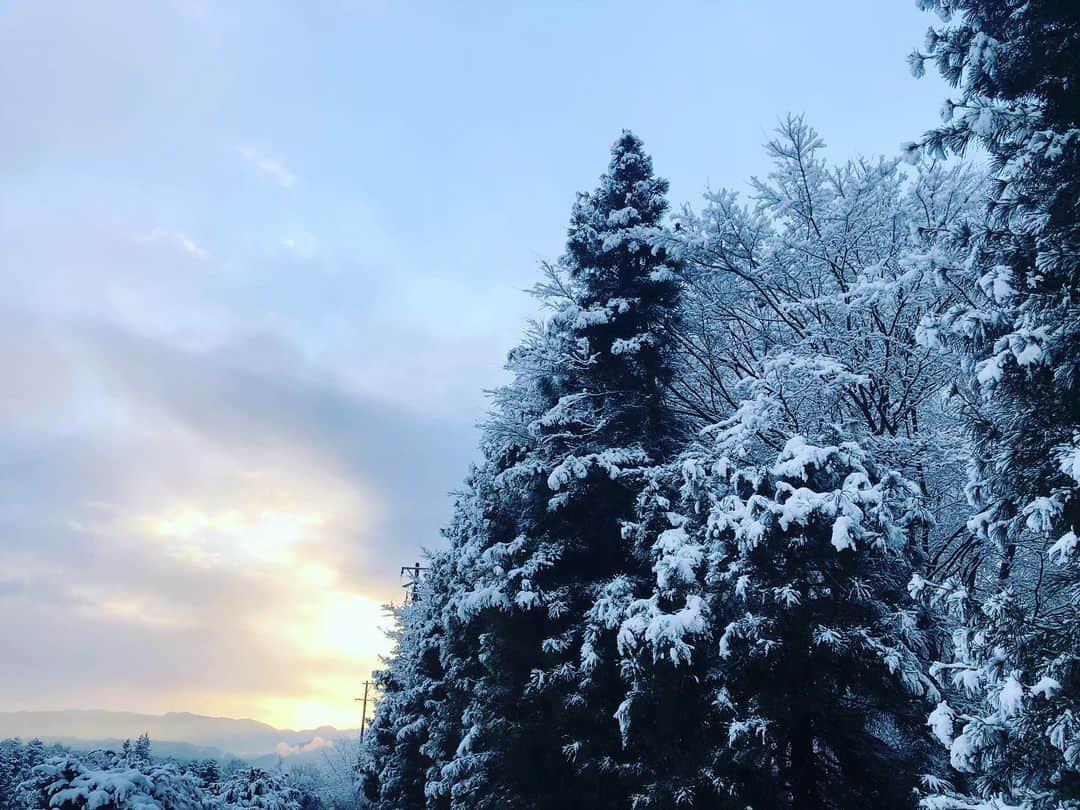 篠原信一さんのインスタグラム写真 - (篠原信一Instagram)「おはよう😃気持ちいい朝。 朝散歩🚶‍♀️🐕🐶💨 #雪景色 #気持ちいい朝」12月15日 7時43分 - s.shinohara_life