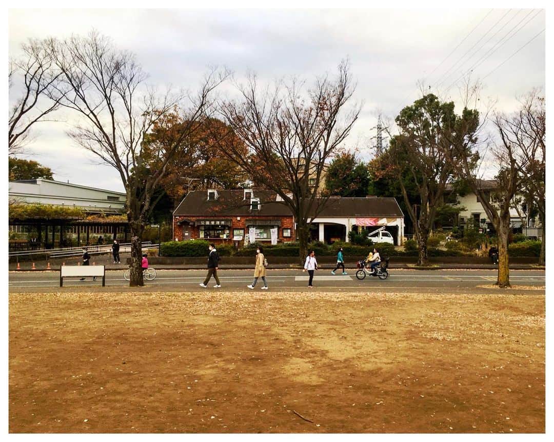 堀込泰行さんのインスタグラム写真 - (堀込泰行Instagram)「困ったら駒沢公園。とりあえず数は撮ってある。  #おやすみなさい #寝る前に闇金ウシジマくん見ちゃダメ！絶対！」12月15日 7時51分 - yasuyuki_horigome