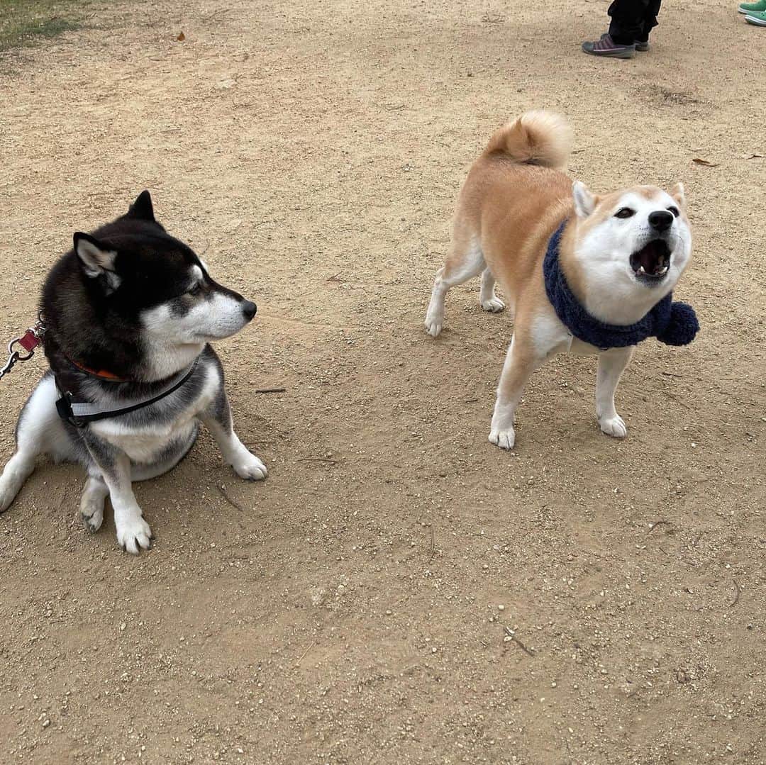 豆助左衛門（まめすけざえもん）のグルメインスタ