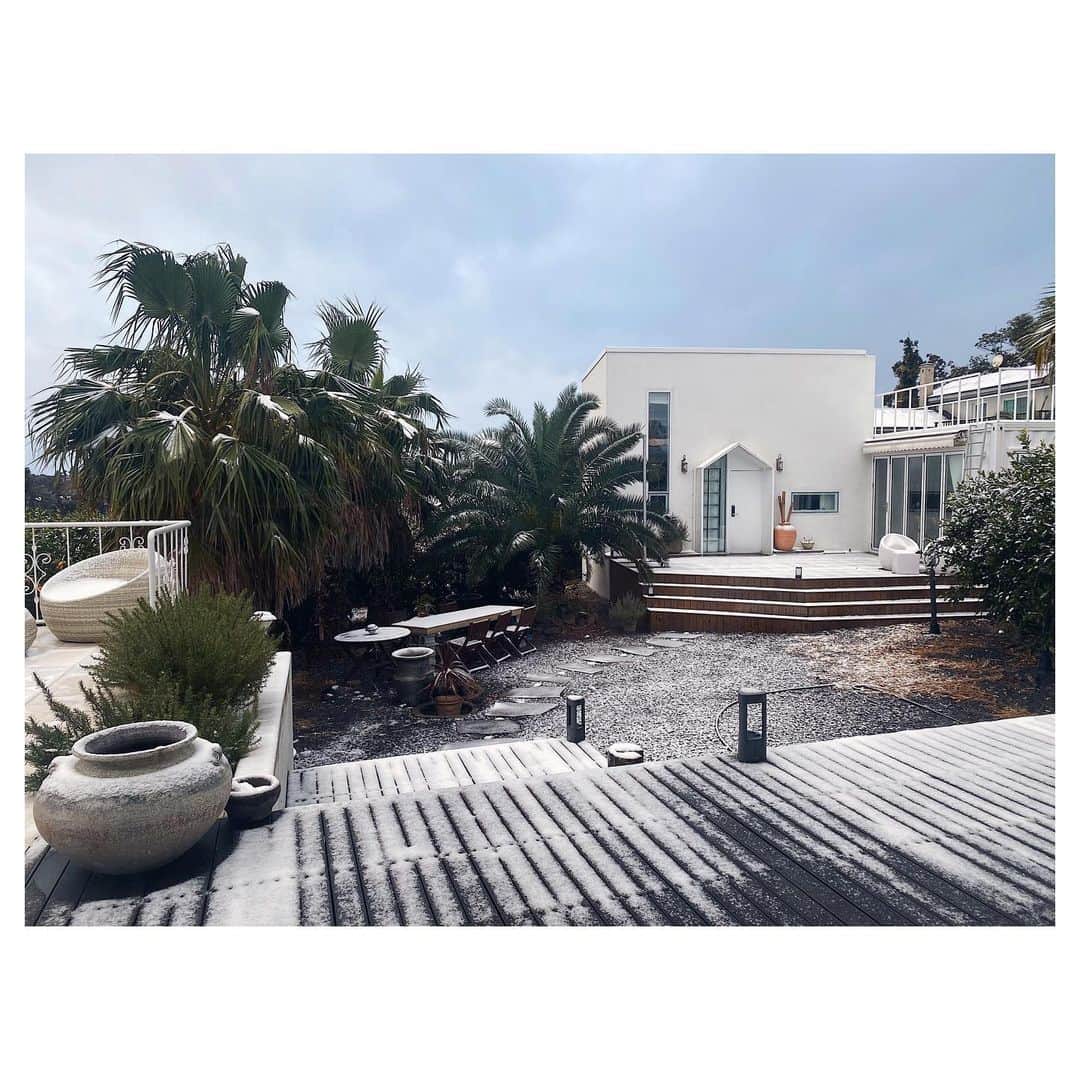 チン・ジェヨンさんのインスタグラム写真 - (チン・ジェヨンInstagram)「. 하얀 일몬도 ⛄️ . . #진재영일몬도jeju  #진재영하우스 . .」12月15日 8時16分 - jinjaeyoung_con.t