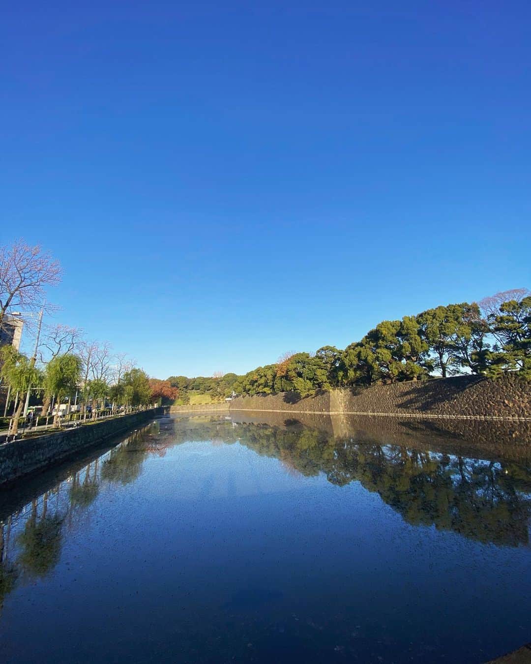 奥家沙枝子のインスタグラム：「驚くほど澄んだ朝の空🌞 先日の皇居ランは最高のお天気でした💕 . 今年は在宅勤務が続いて運動量が激減… 意識的に体を動かさないと完全になまっちゃう😢 . . #皇居ラン#ランニング#ゆるラン#朝活#皇居#青空#run #running #jogging #tokyo #morning #goodday #beautifulday #sport #fit #workout #motivation」