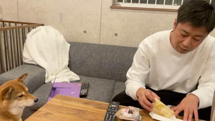 尾形貴弘のインスタグラム：「ブリトー食べてると すんごい目で見てくるミク。  食べにくいなぁ。。。」