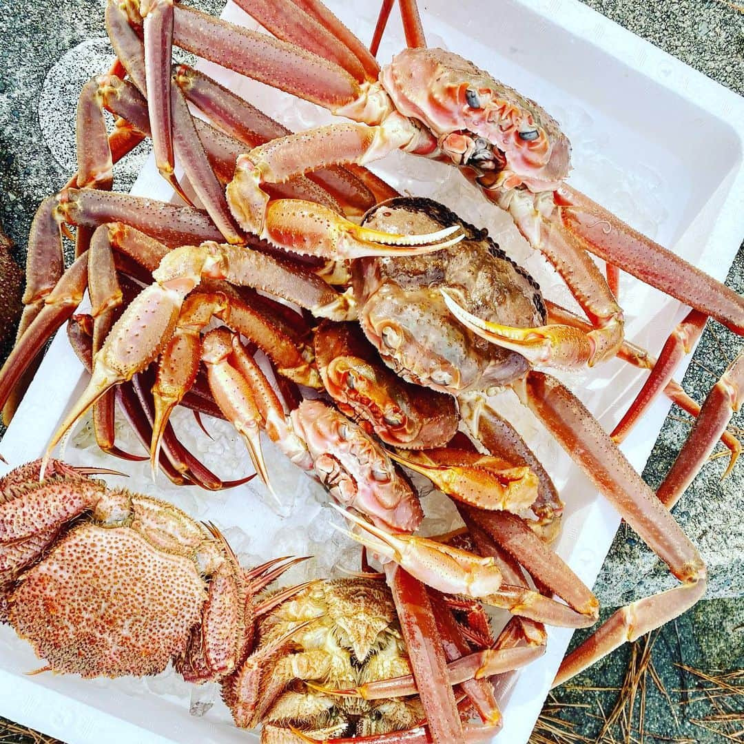 遊海 Yuumiさんのインスタグラム写真 - (遊海 YuumiInstagram)「So much crab at Toyama prefecture 🦀🦀🦀 Toyama is famous for seafood and one of the specialty is the crab 🦀 it’s from cold ocean with beautiful nature so the crab is way so sweet and delicious 🤤 thank you to the fishermen is Asahi Toyama ❤️富山県の名物の一つはカニ🦀　冷たくて、深いそして自然が素敵な富山で取れるカニさんは想像よりも甘くて口で溶けてしまう美味しさでした！！　富山県朝日の漁港の皆さんに感謝です❤️ #crab #カニ　#toyama #asahitoyama #toyamaprefecture #toyamapr #visittoyama #gototoyama #toyamajapan #japan #visitjapanjp #visitjapan #ocean #skindiving #winter #富山県　#富山　#朝日富山　#素潜り　#素潜り女子 #海　#日本海　#oceangirlonmission #富山観光」12月15日 0時01分 - yuumi_kato