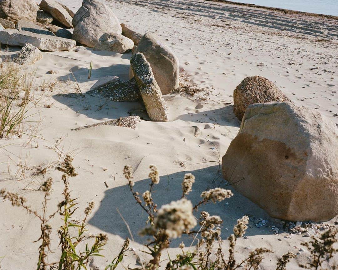 アリス・ガオのインスタグラム：「shoulder season  #mamiya7ii」