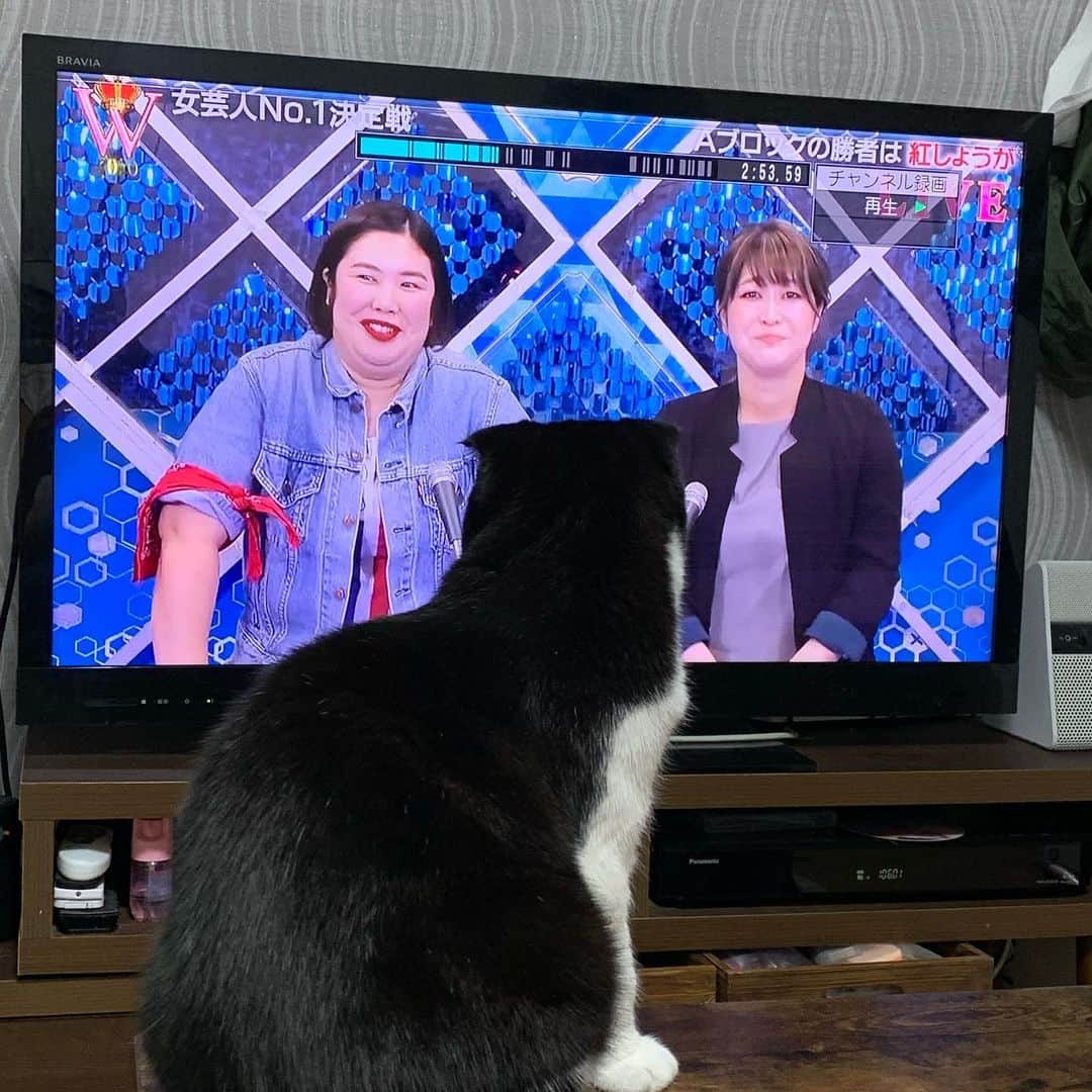 池田真一のインスタグラム：「紅しょうがめちゃくちゃおもろかった！ 八べぇが熊プロ見て固まってました！ 僕もお店のオーナーとして出演させて頂きました！ そしてゆりやん後15分見たかった！ おもろ過ぎ🤣 THE W最高でした！！」